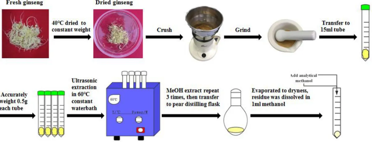 Figure 3. Schematic extraction procedure of crude saponin. 