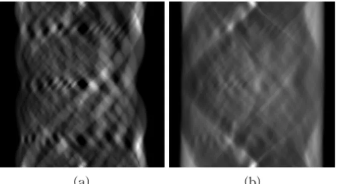 Fig. 4. FBP Reconstruction using observed data  