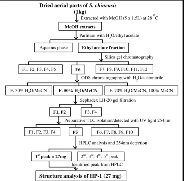 Figure 3. A flowchart depicting the purification of methanol extracts from the  aerial parts of Saururus chinensis (SCE)