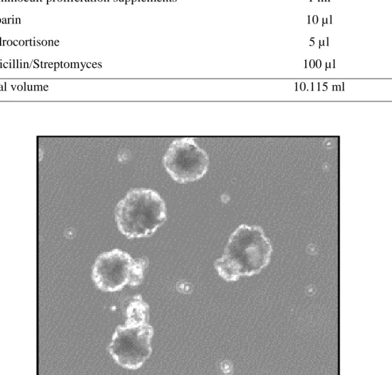 Table  1.  Mammosphere  formation  assay  using  breast  cancer  stem  cell  derived 