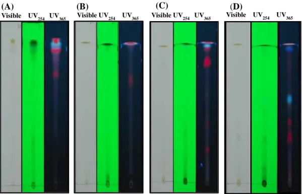 Figure  5.  Thin  layer  chromatography  analysis  of  ethyl  acetate  extracts  from  Saururus chinensis