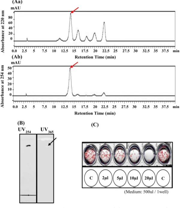 Figure  10.  Fractionation  of  the  preparative  TLC  fraction  using  HPLC.  (A) 
