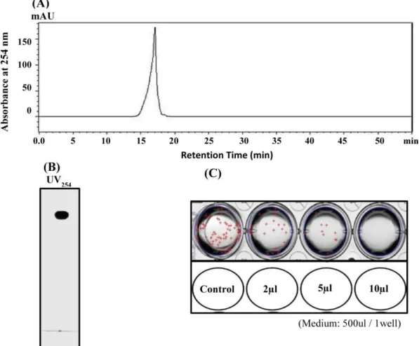 Figure  11.  The  main  peak  was  fractionated  and  collected  by  using  High  Performance  Liquid  Chromatography