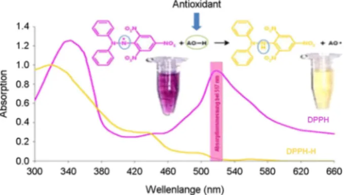 Fig.  2.  Change  of  face  color  of  rats  according  to  experimental  allergic reaction