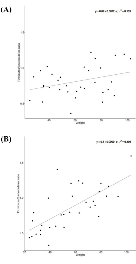 Figure 3. The correlation analysis between weight and Firmicutes/Bacteroidetes ratio in control (A) and tylosin group (B)