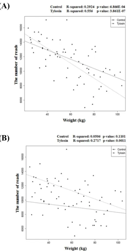 Figure  4.  Abundance  of  Bacteroidetes (A)  and  Firmicutes (B)  according  to  increasing  of  weight  during  this  study