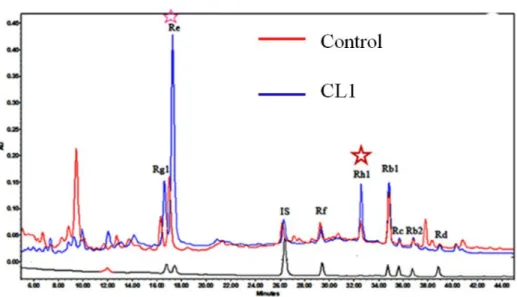 Figure  9.  Typical  chromatograms  and  ginsenoside  content  obtained  from  the  standard,  control and cell line CL1