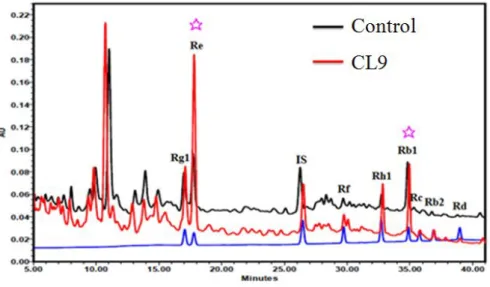 Figure  11.  Typical  chromatograms  and  ginsenoside  content  obtained  from  the  standard,  control and cell line CL9