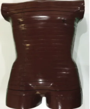 Fig. 2 는  실험에  사용한  인체등가물질의  팬텀 (Rando, Alderson research laboratories, USA) 이다.