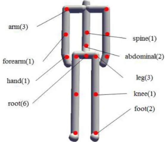 Fig. 2. The skeleton used in our framework. Number  in bracket means DOF. Left and right joints are  symmetrical.