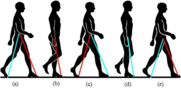 Fig. 4. Human ’s locomotion consists of left and right foot  swing sequence. The red line indicates the left  foot, and blue line indicates the right foot