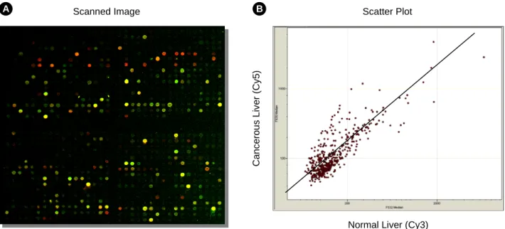 Fig. 4. Differential gene expression profile between a pair of  liver cancer and normal tissue