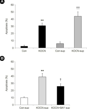 Fig. 3. The effect of  released factor induced by KOCN on cell  apoptosis. (A) HCT 116 cells were incubated with 500 μg/ml of  KOCN for 48 h