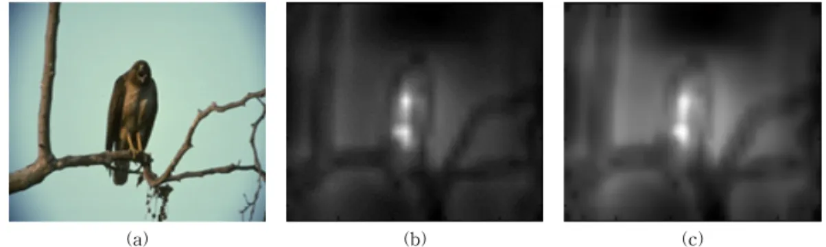 Fig. 9는 세 장의 conspicuity map에 양방향 필터 (bilateral filter)를 적용하여 향상된 세일리언시 맵 (saliency map)을 얻은 결과를 보여주고 있다
