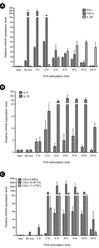 Fig. 1. The changes of  target gene mRNA expression level after  stimulation of  T-cell mitogen in time dependent manner