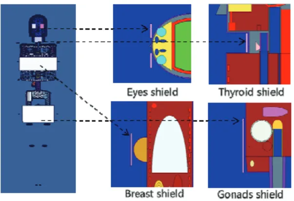 Fig. 3. Simplified simulations of radiation shielding  devices during X-ray examination.