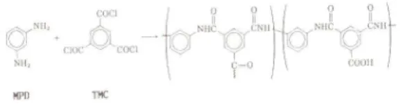 Fig.  1.  Diagram  of  Chemical  composition  of  composite  membrane  made  by  interfacial  polymerization.