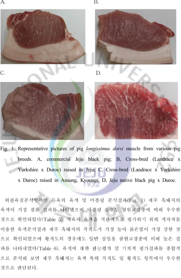 Fig. 1. Representative pictures of pig longissimus dorsi muscle from various pig breeds
