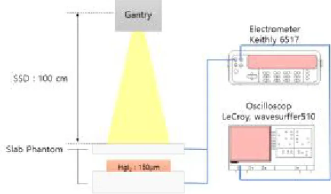 Fig.  1.  Schematic  diagram  of  the  experimental  setup.