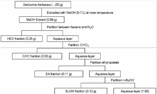Fig. 1. Schematic diagram of  extraction and fractionation of  S. herbacea. MeOH, methanol; HEX, hexane; CHC, chloroform; EA, ethyl  acetate; BuOH, n-butanol