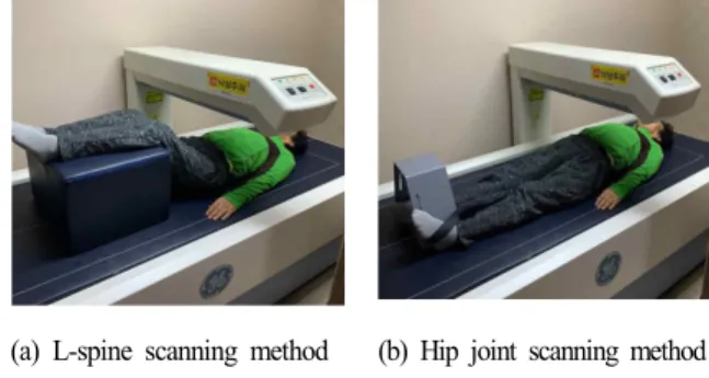 Fig.  2,  Dual  Energy  X-ray  Absorptiometry  Analysis  Result.