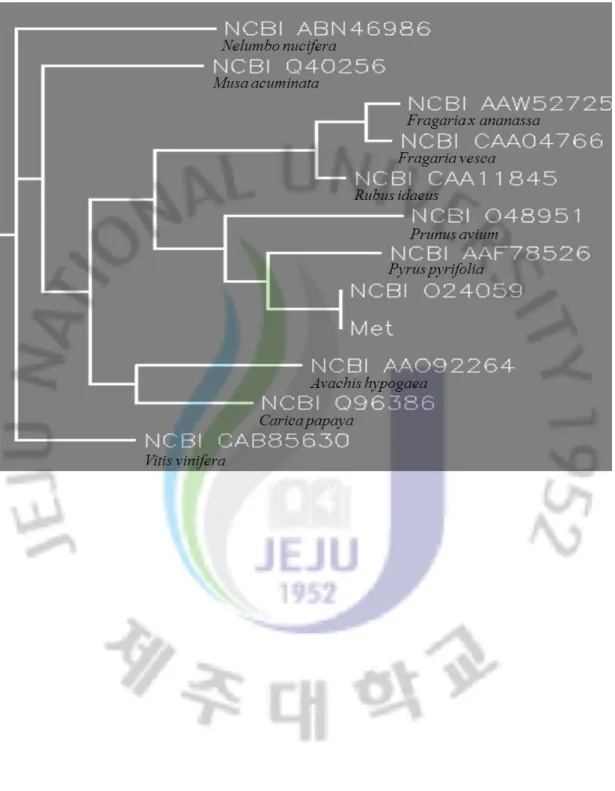 Fig. 15. Phylogenetic tree   