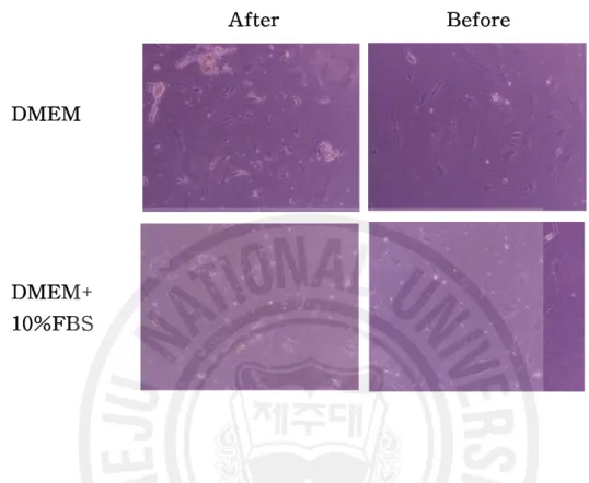 Fig. 5. MPCs proliferation before and after high centrifuge for elimination of artifacts by endogenous stem cell or other cells (arrows) in the JF.