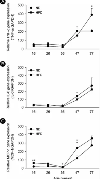 Table 1. Body weight of  C57BL/6 mice at the time of  sacrifice  and duration of feeding either a normal diet or a high-fat diet