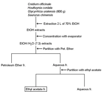 Fig. 1. Flow chart of  medicinal plant extraction. 