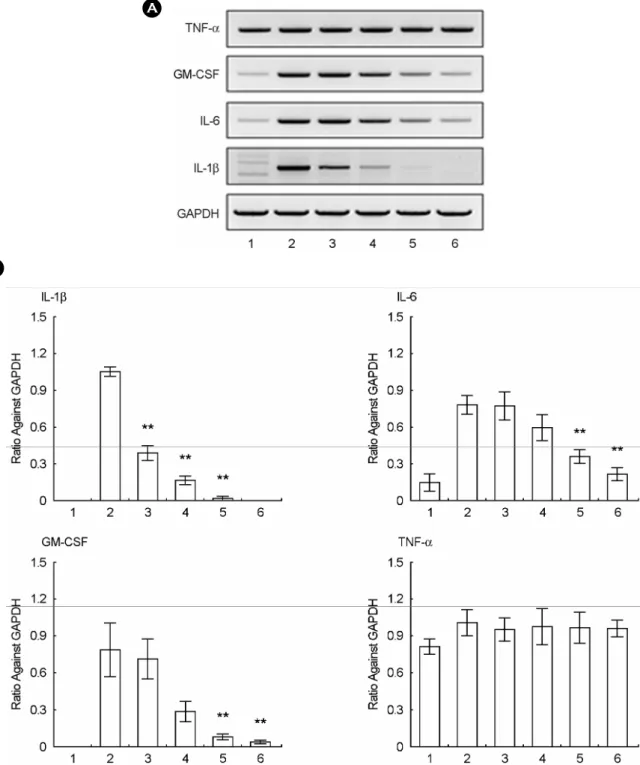 Fig. 4. Effects of taxifolin on the mRNA expression of  pro-inflammatory cytokines in LPS-activated RAW264.7 cells