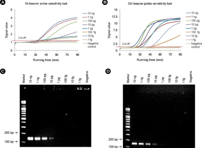 Fig. 4. The sensitivity of noroV GI and GII specific beacon probe used in real-time NASBA