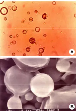 Table 1. Physical properties of  microspheres prepared by dichlo- dichlo-romethane and ethyl acetate 
