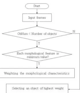 Fig. 3. Flowchart for obtaining the morphological char- char-acteristics  of  the  objects  of  interest.