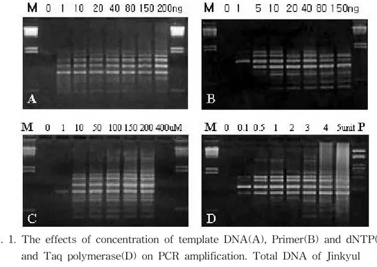 Fig.  1.  The  effects  of  concentration  of  template  DNA(A),  Primer(B)  and  dNTP(C)                and  Taq  polymerase(D)  on  PCR  amplification