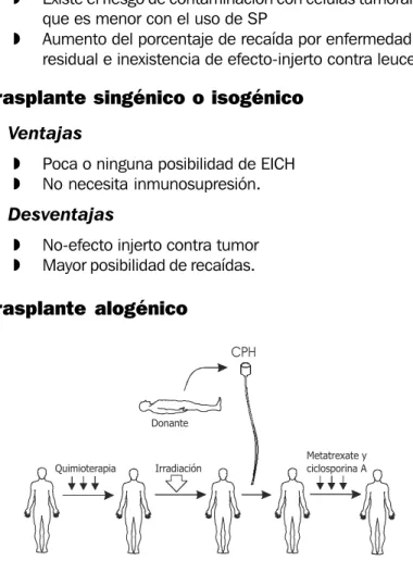 Fig. 8.2. Esquema de los pasos seguidos en el trasplante alogénico.