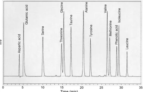 Figure  2.  HPLC  chromatogram  for  standard  amino  acids  analyzed  in  the  present  study.
