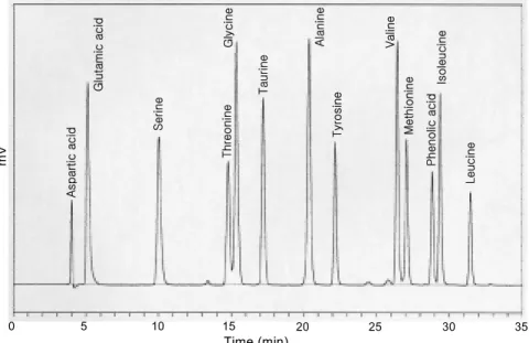 Figure  2.  HPLC  chromatogram  for  standard  amino  acids  analyzed  in  the  present  study.