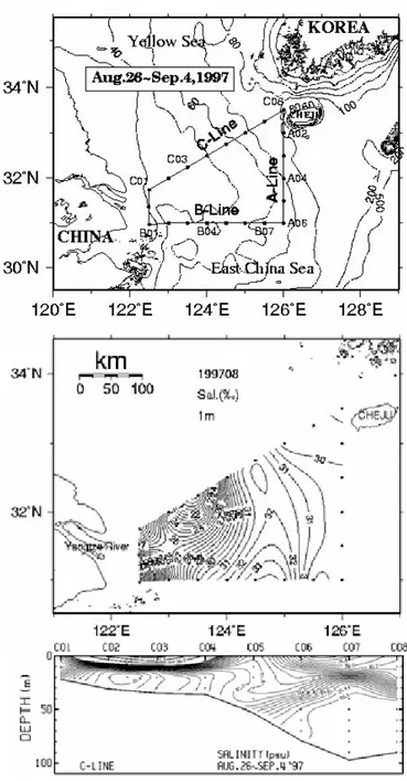 Fig. 3.  Hydrostatic stations observed by R/V Ara of CNU in Aug. 26 - Sep.  3, 1997, Horizontal surface salinity distribution, and Vertical salinity  profiles along Line C.