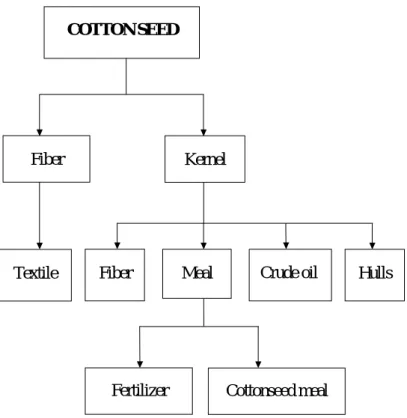 Fig. 2. Processing of cotton and its products