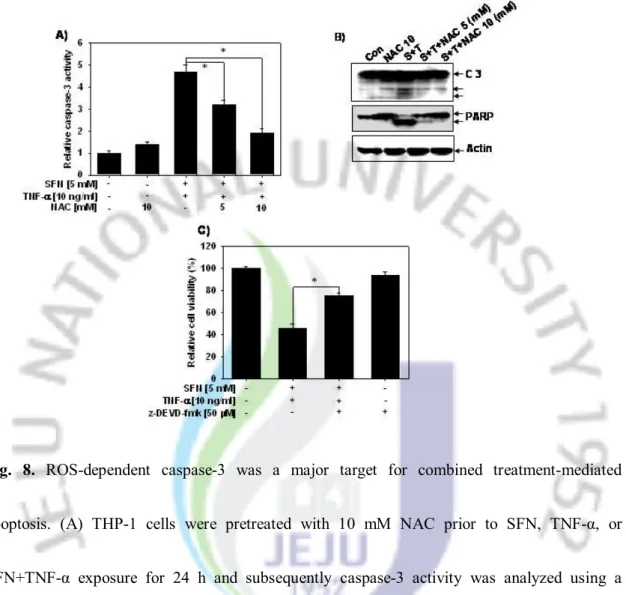 Fig.  8.  ROS-dependent  caspase-3  was  a  major  target  for  combined  treatment-mediated 