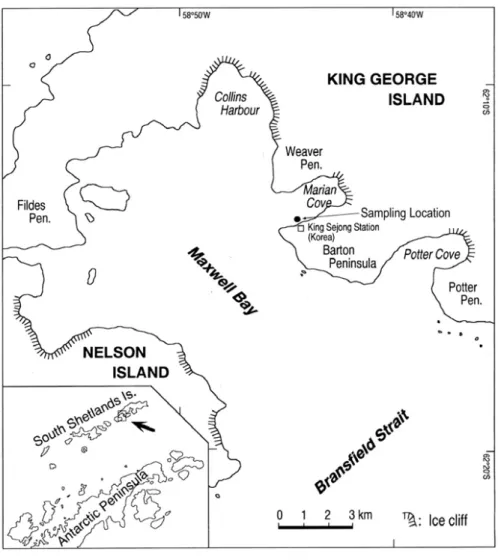 Fig. 2. Sampling location of L. elliptica at Marian Cove. 