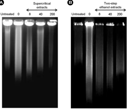 Fig. 3. Inhibitory effects of the (A) supercritical and (B) two step ethanol extracts from S