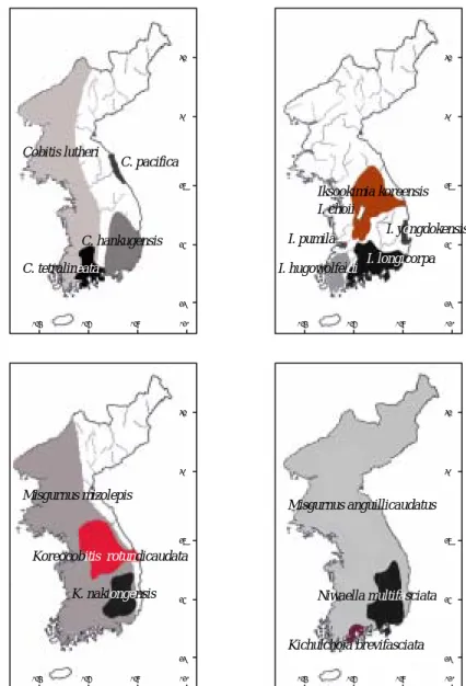 Fig. 2. Distribution of cobitid fishes In Korean peninsula. The  distinct areas of distribution for different species are shown by  different colours