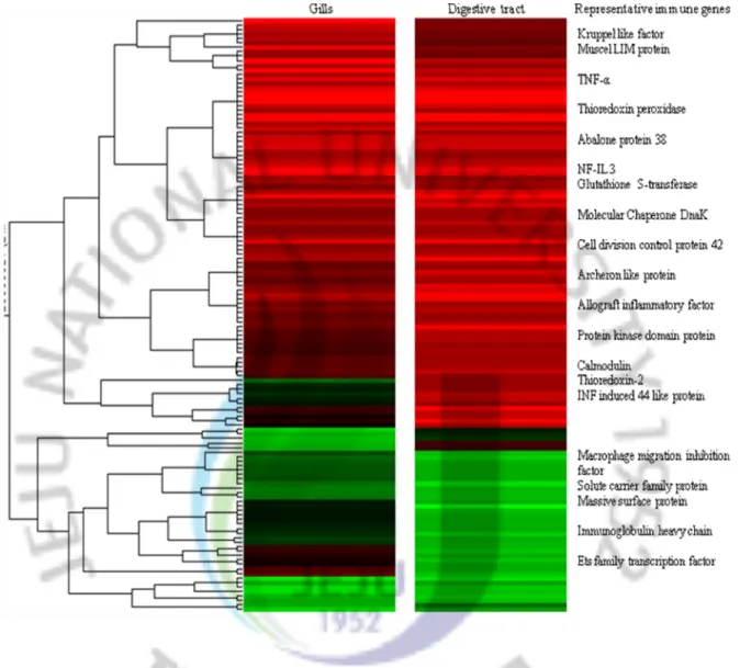 Fig.  2.    Gene  expression  profiles  of  significantly  regulated  transcripts  (≥2  or  ≤2  –fold  change)  in  abalone  gills  and  digestive  tract  at  24  h  post  challenge  of  V
