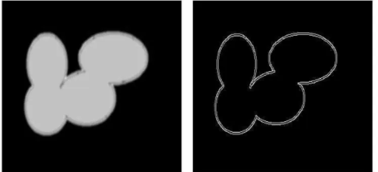 Fig.  5.  Edge  Detection.