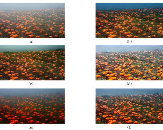 Fig. 8. The results of de-hazing method for‘Toys’image. (a) Original, (b) Tarel ’s method, (c) He’s method, (d) CLAHE,  (e) Proposed brightness transform, (f) Proposed method.