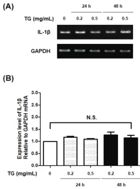 Fig. 2. RT-PCR for detection of IL-1 β  mRNA  expression in the Jurkat T lymphocytes.