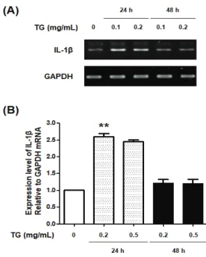 Fig. 3. RT-PCR for detection of TNF- α  mRNA  expression in the U937 cells.