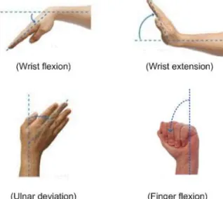 Fig. 1 Image of forearm movements [11]. Fig. 2. Electrode locations on forearm [12]. 