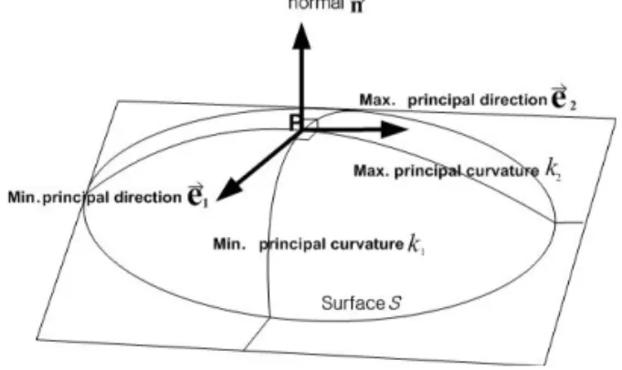 Fig.  1.  Principal  curvatures  {  ,  }  and  directivity  {    } at a point on the surface